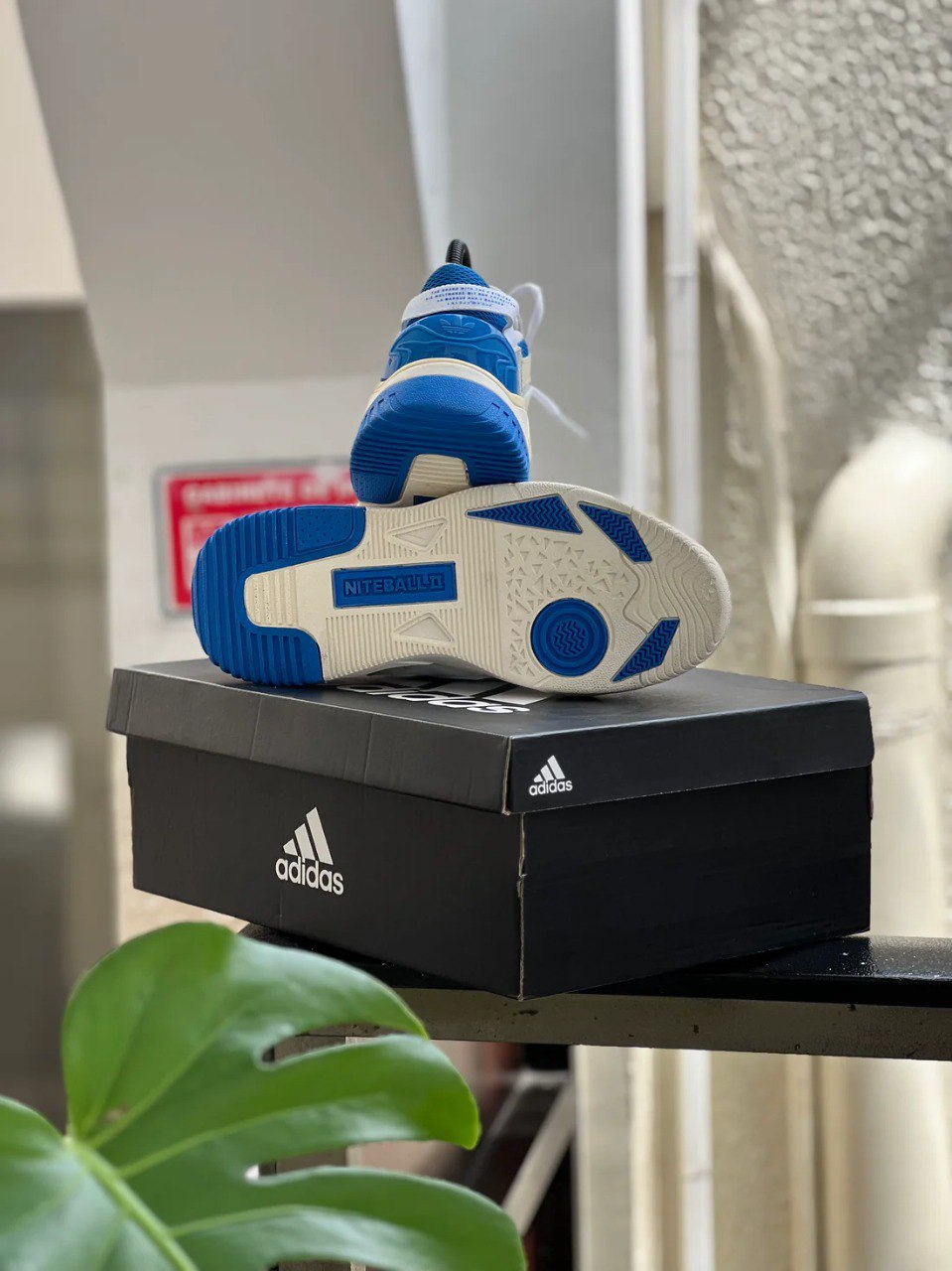 adidas Niteball ll
