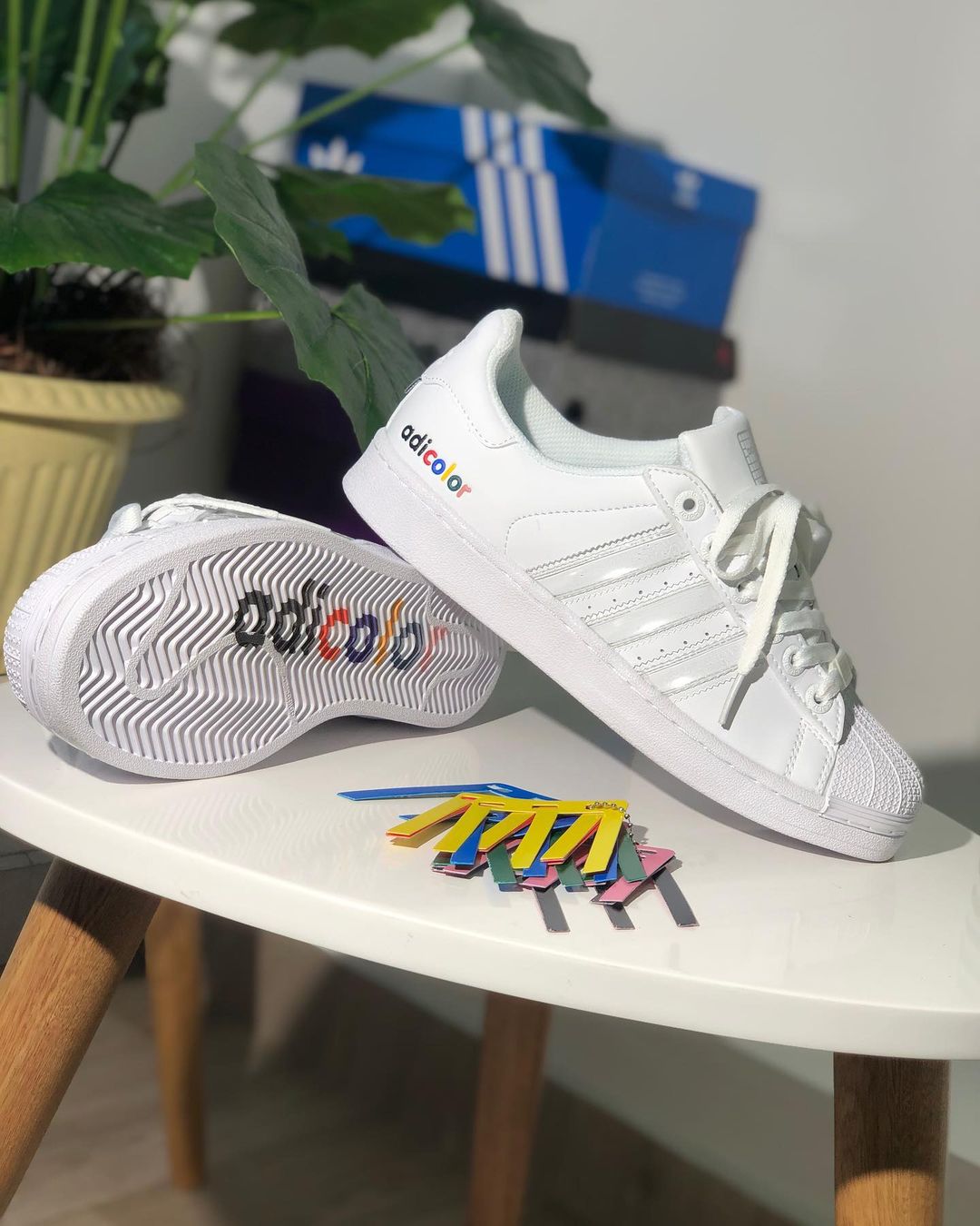 adidas superstar adicolor
