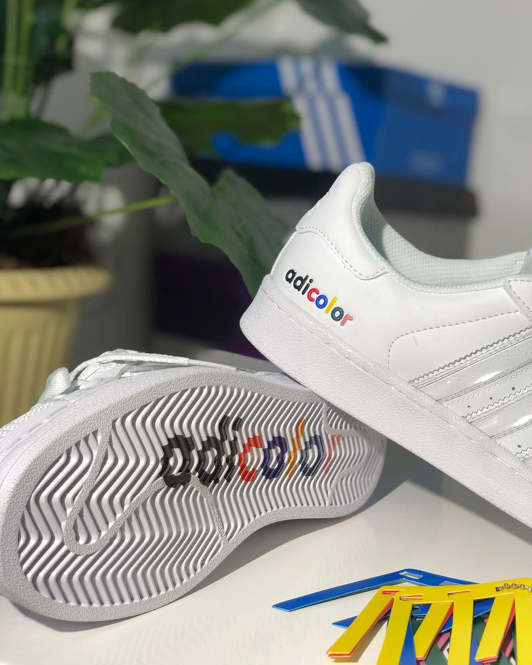 adidas superstar adicolor
