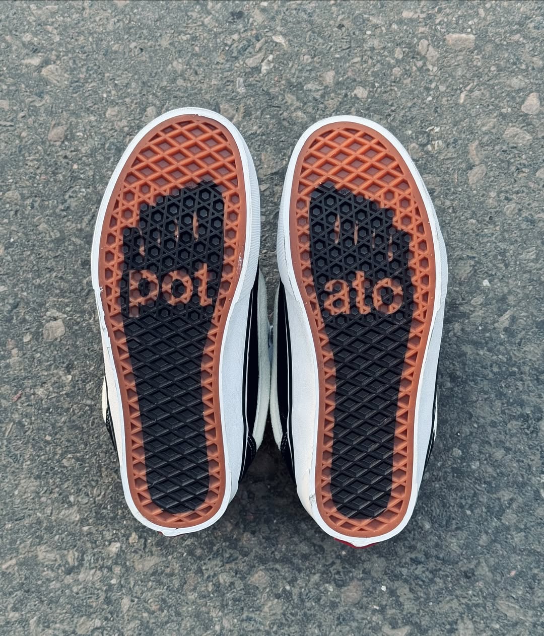Vans potato