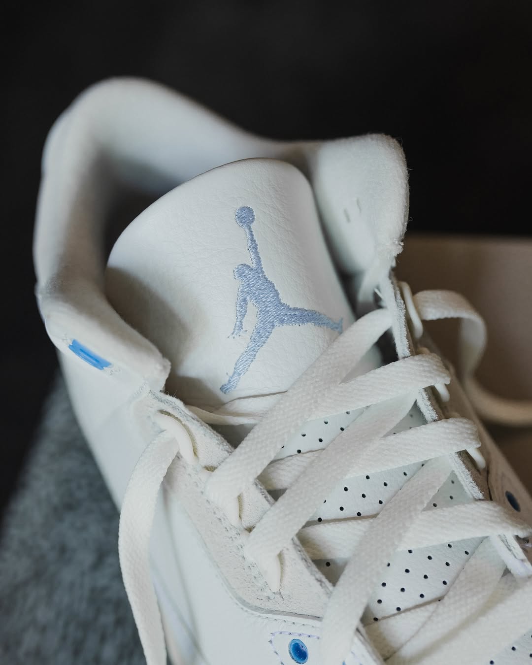 Air Jordan 3 Lucky Shorts