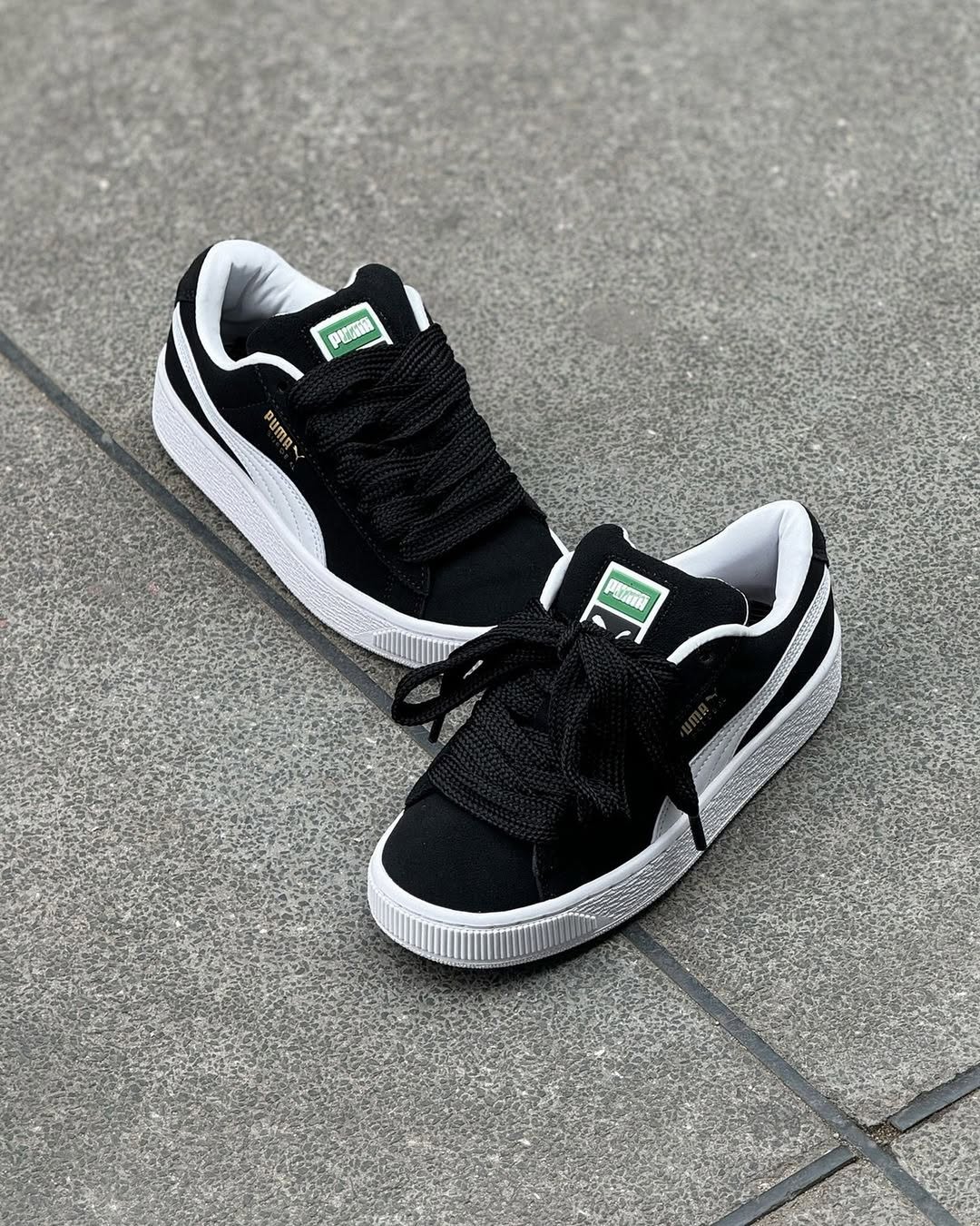 Puma XL