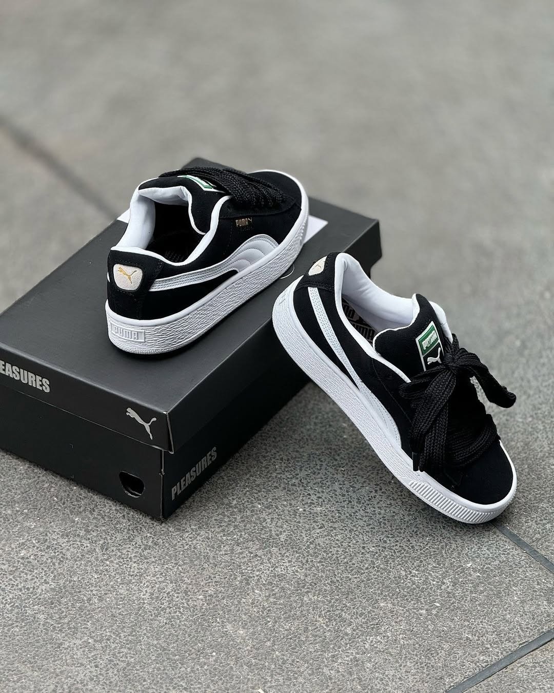 Puma XL