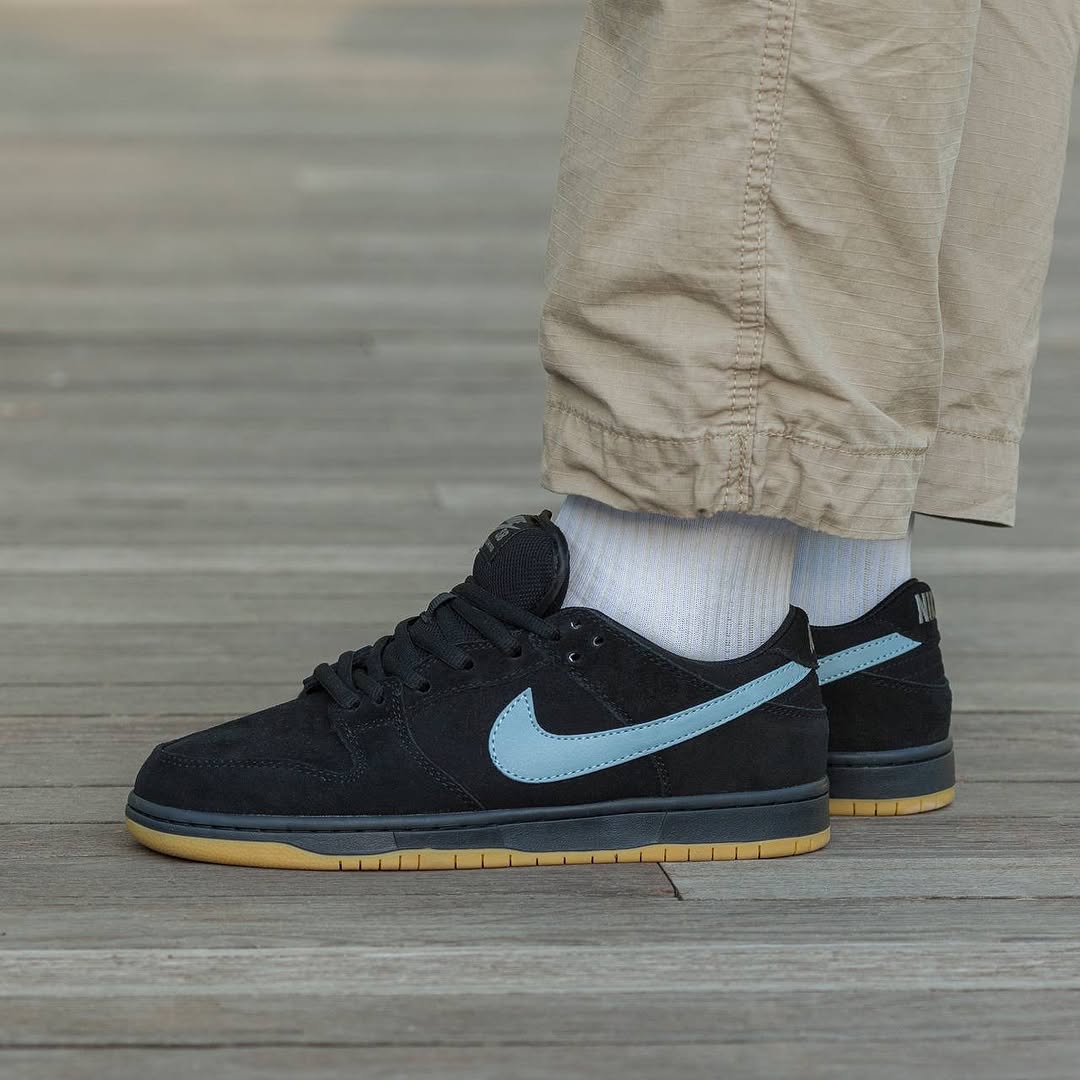 Nike Sb Dunk Low Pro