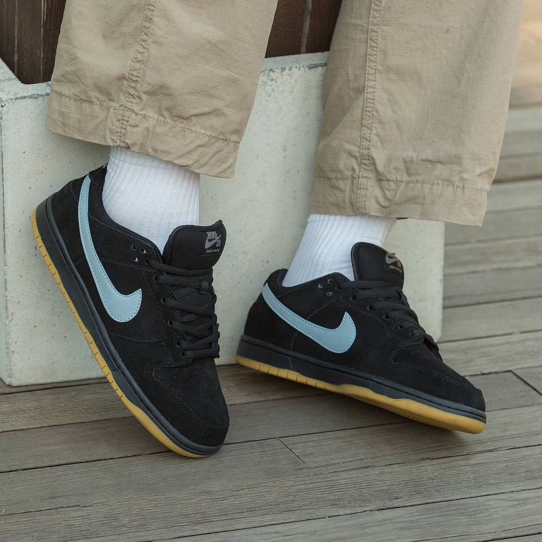 Nike Sb Dunk Low Pro