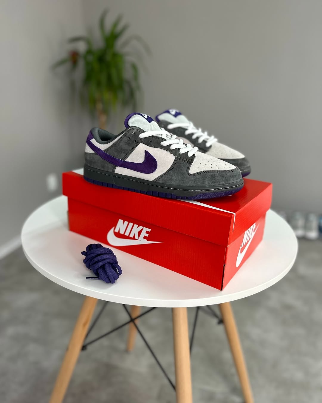 Nike Sb Dunk Low Purple