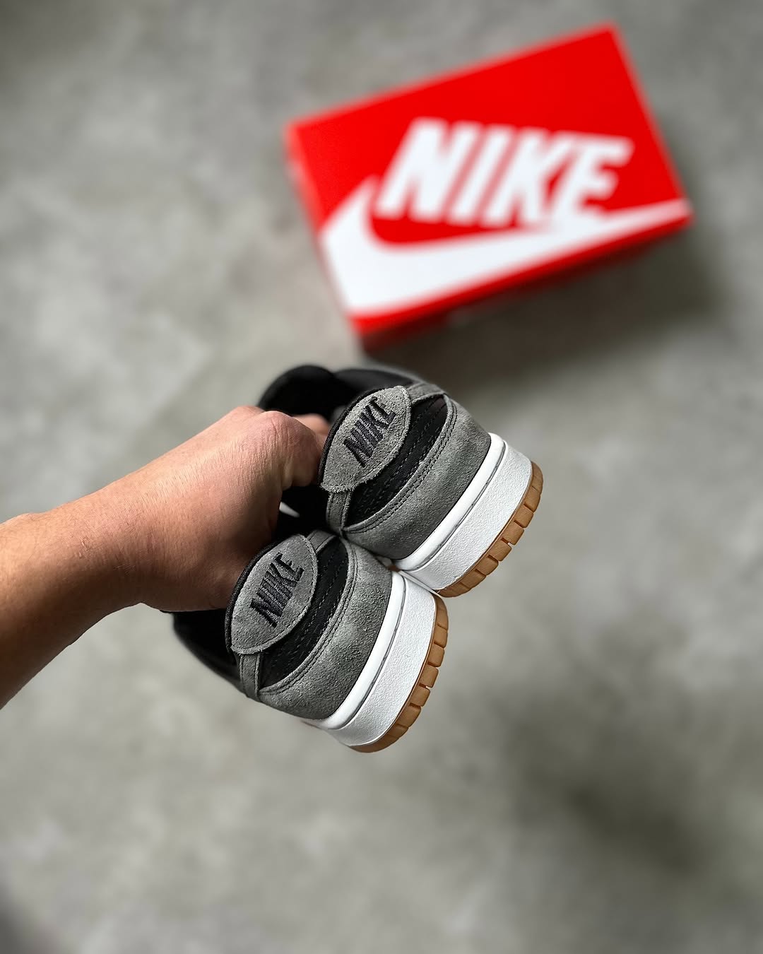 Nike Sb Dunk Low Pro
