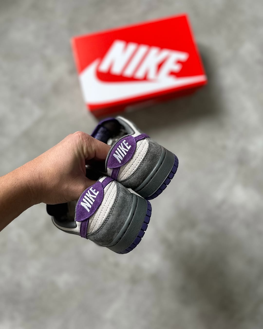 Nike Sb Dunk Low Purple