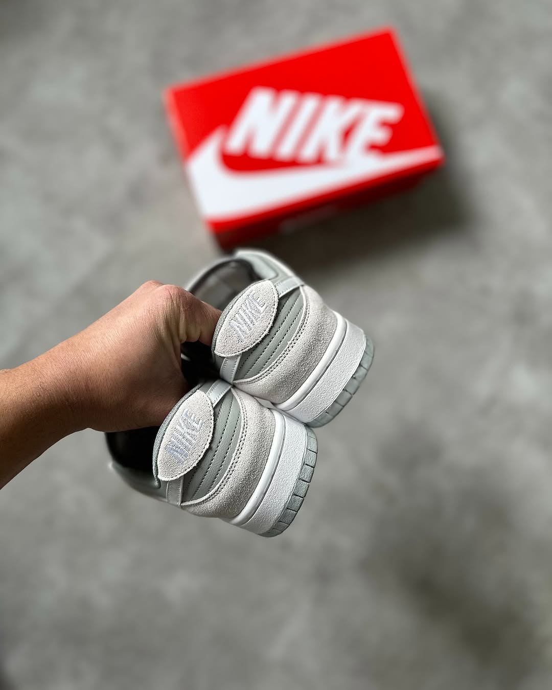 Nike Sb Dunk Low Pro