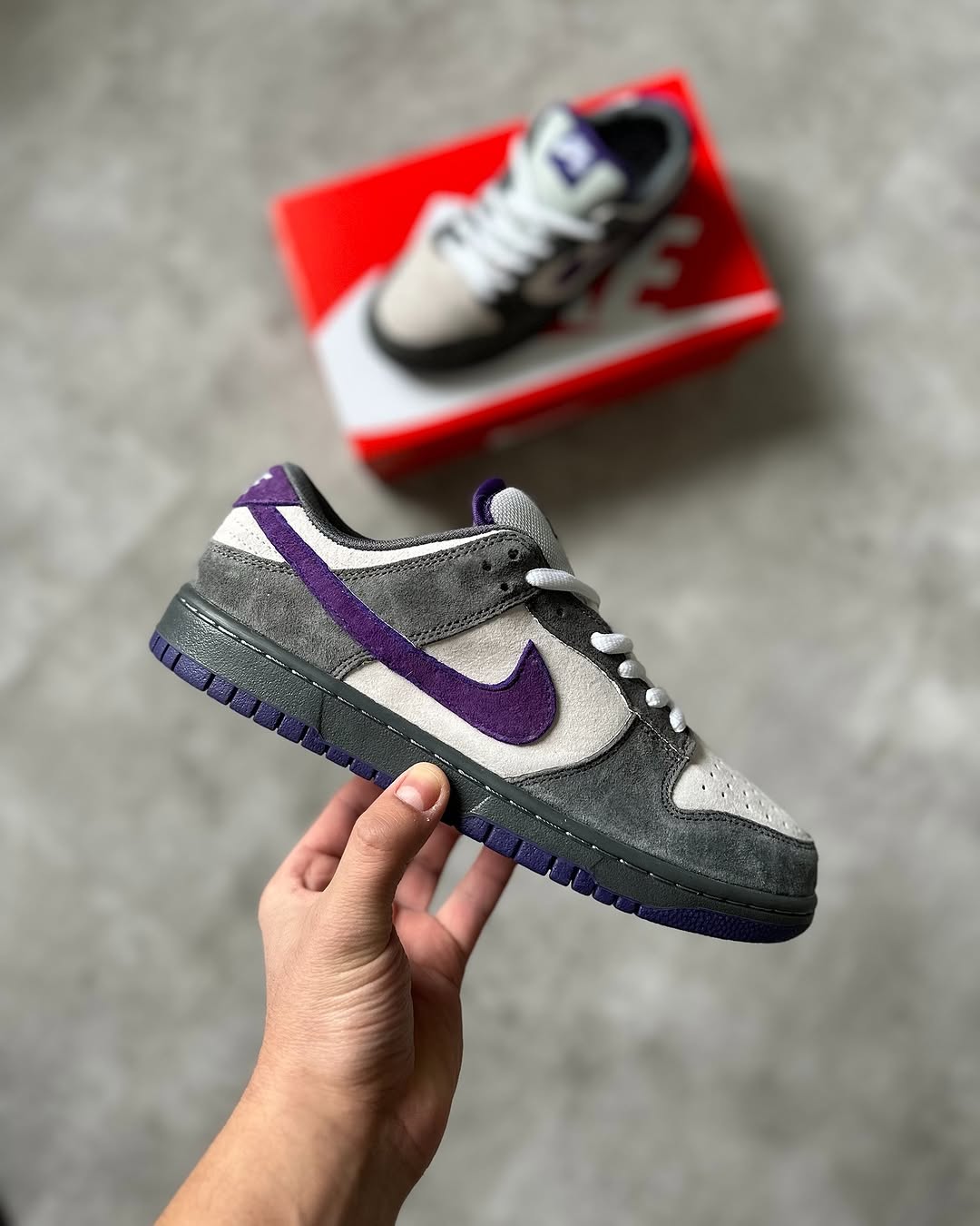 Nike Sb Dunk Low Purple
