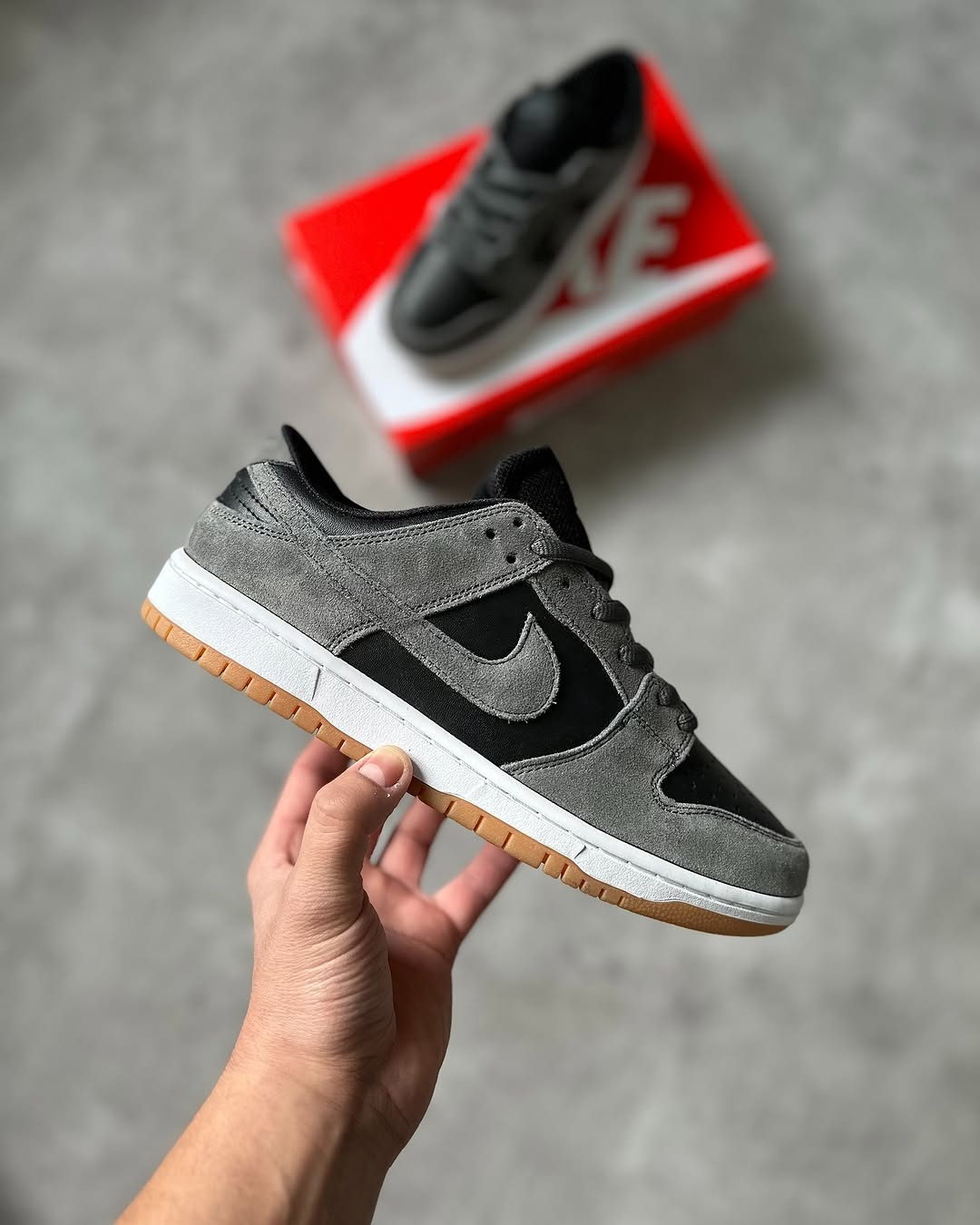 Nike Sb Dunk Low Pro
