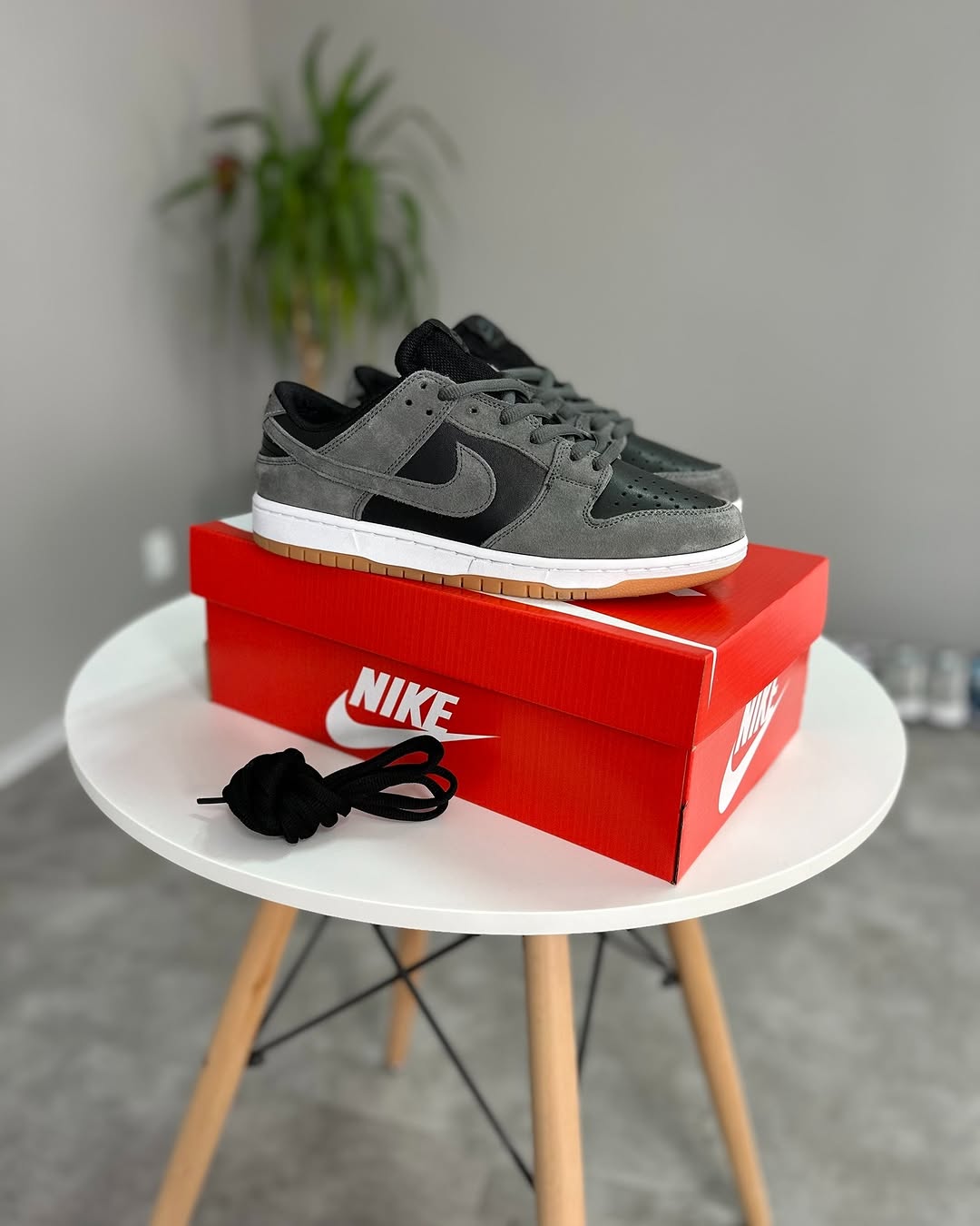 Nike Sb Dunk Low Pro