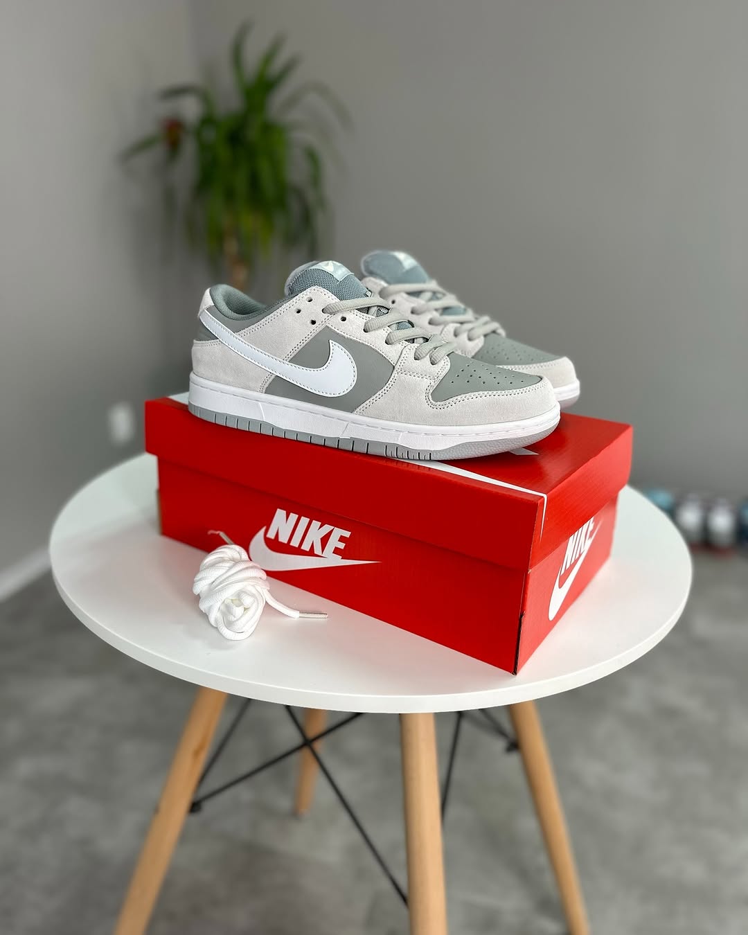 Nike Sb Dunk Low Pro