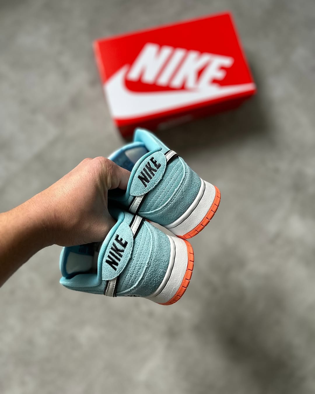 Nike Sb Dunk Low Pro Azul