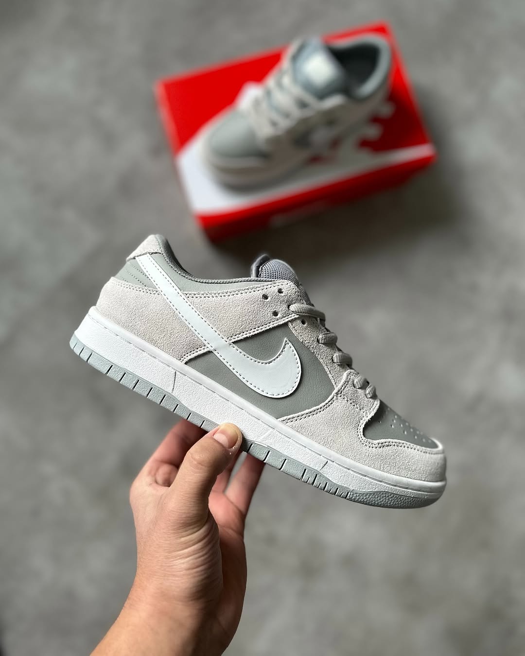 Nike Sb Dunk Low Pro