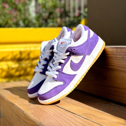 Nike Sb Dunk Low Pro